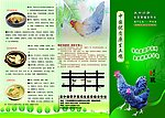 食谱单页