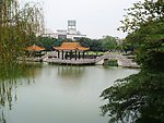 逸仙湖公园3