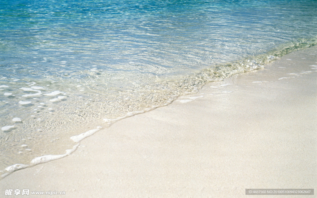 海滩 夏日的海
