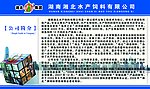 湘北公司简介