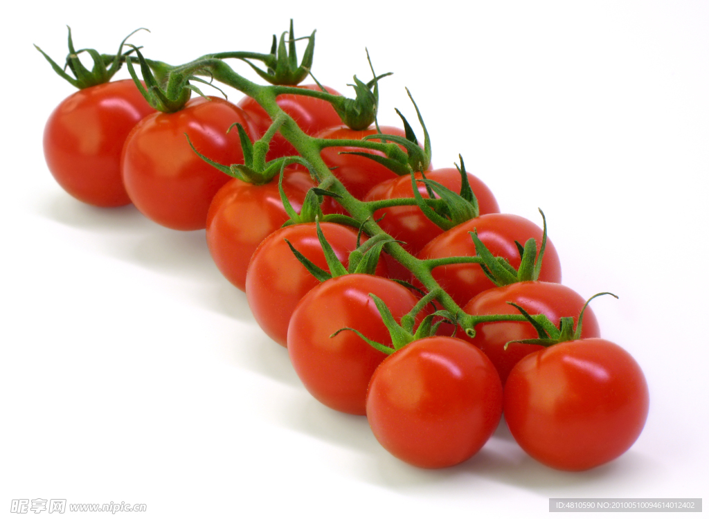 西红柿 新鲜的水果 特写 成排的水果