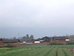 农村风景