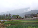 小麦地