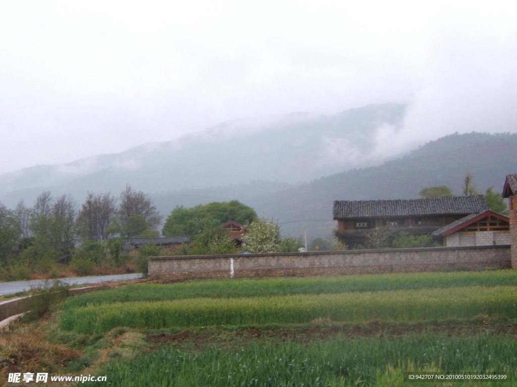 小麦地