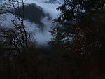 高山森林