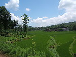 田园风光