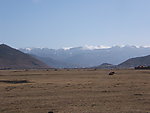 香格里拉草场
