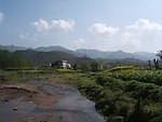 农村田边风景