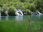 九寨沟的水和草