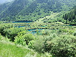 九寨沟的水和树