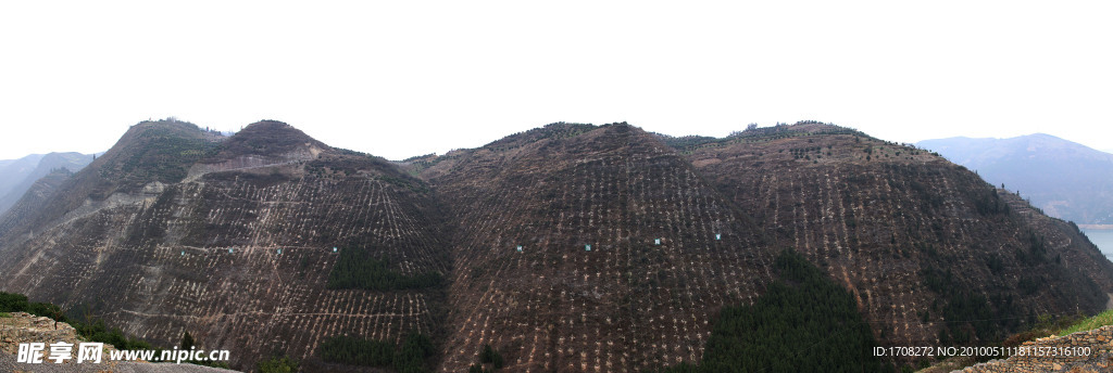 森林