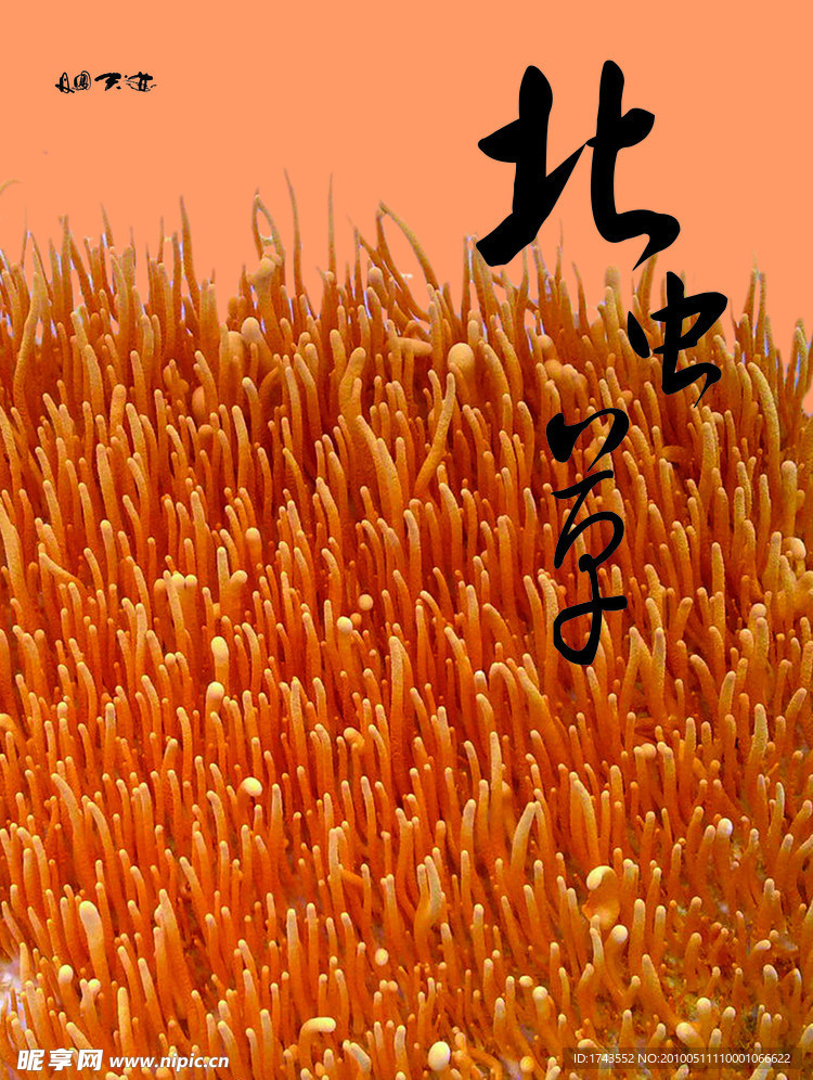 画册
