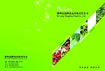 画册设计