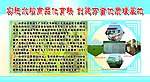 实施水稻工厂化育秧 推进机械插秧全覆盖