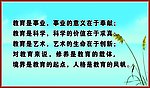 教育是事业