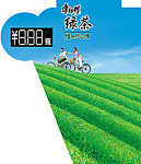 康师傅绿茶