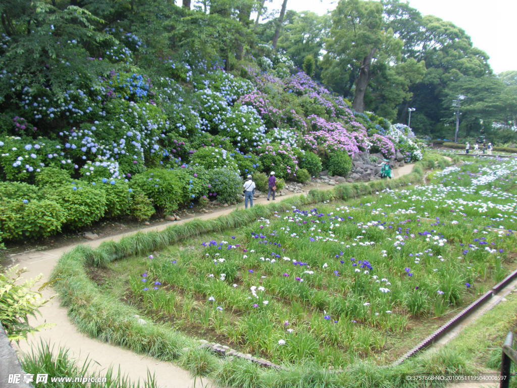 绿化田地