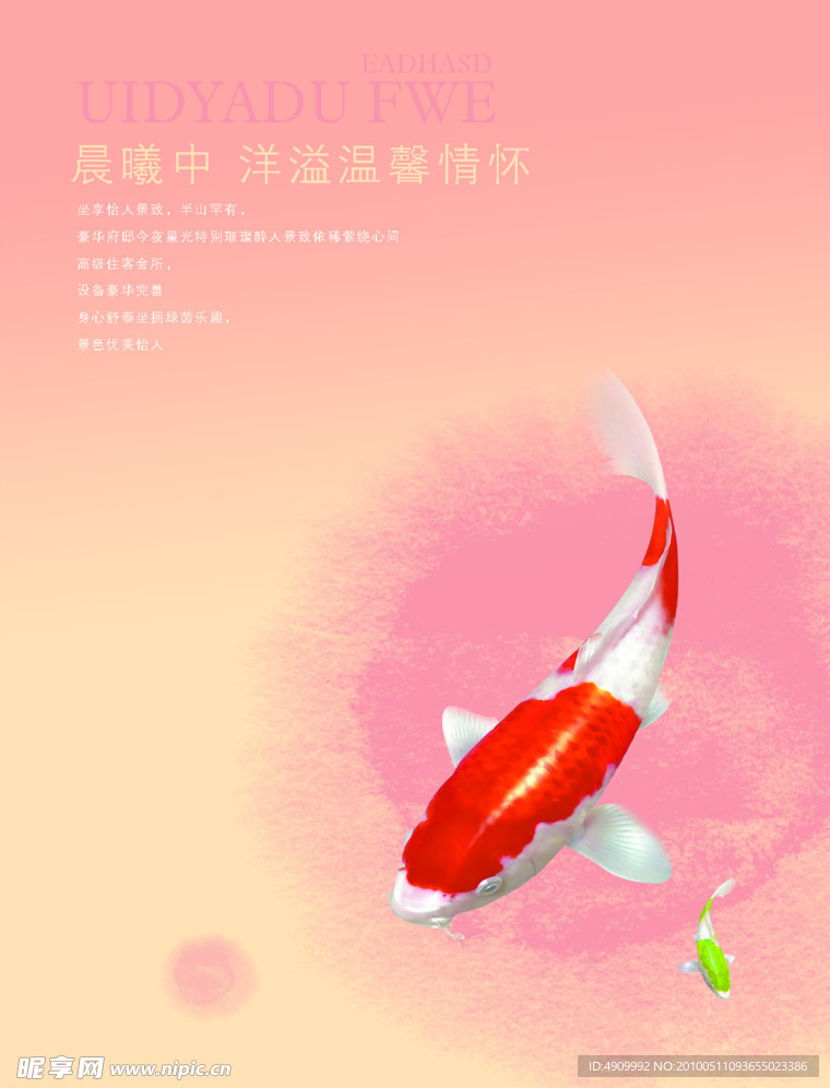 锦鲤