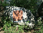 篆刻
