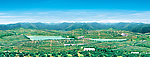 脐橙基地