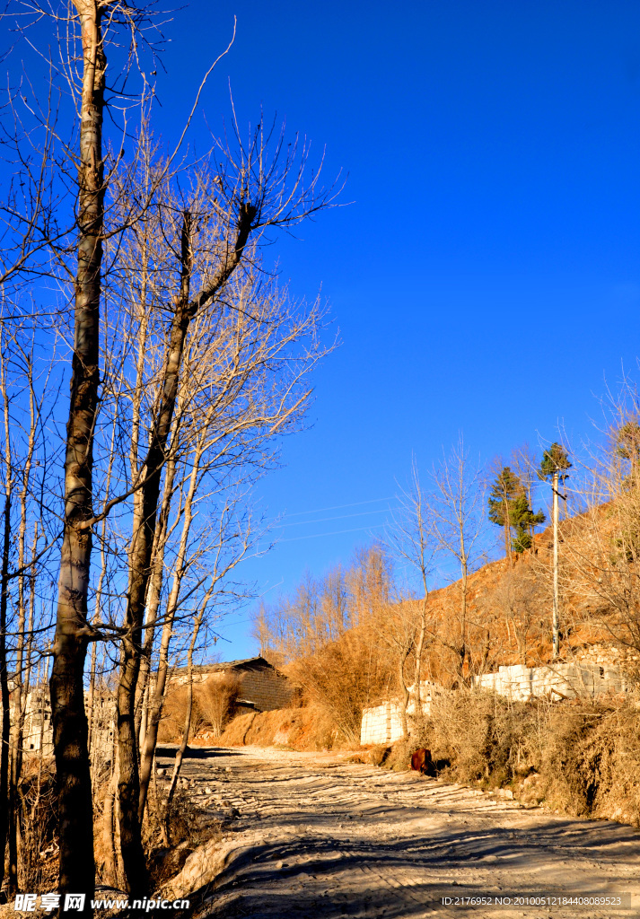 山村小路