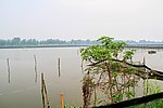 鱼塘