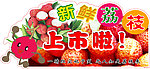新鲜荔枝上市啦