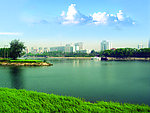 沙澧风景