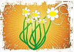 水仙花