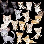 可爱猫咪集合