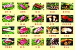 小肥牛菜品