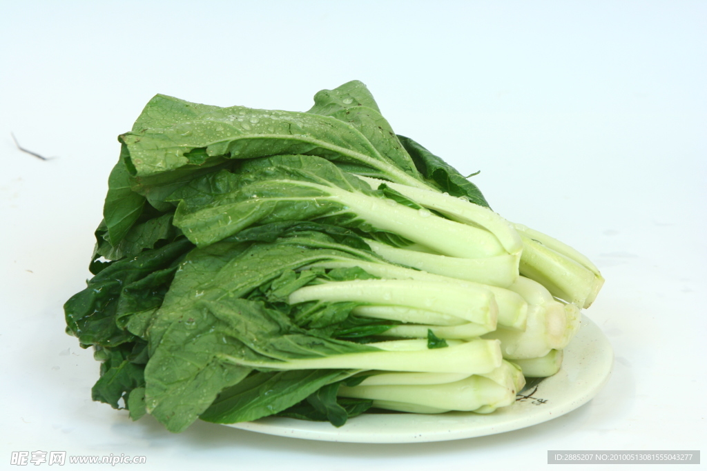 黑叶小白菜