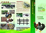 芦花鸡 单页