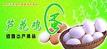 芦花鸡 包装