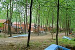 农家小院