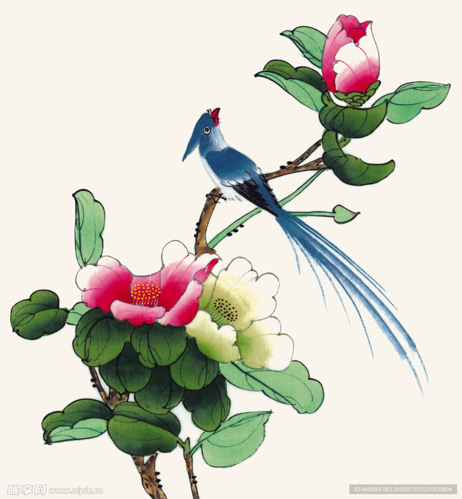 画眉单栖