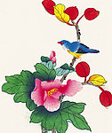 牡丹花鸟