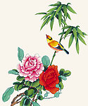 竹栖小鸟