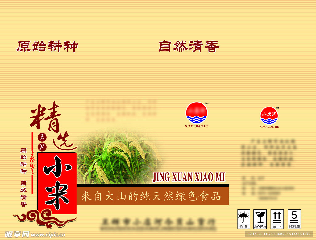 小米 黄色 水稻