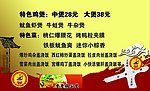 订餐卡反面