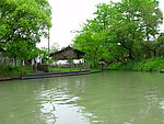 西溪湿地 绿色天堂