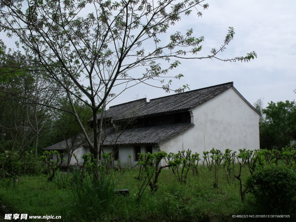 西溪湿地