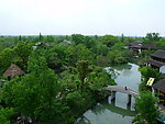 西溪湿地 绿色天堂