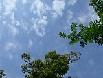 蓝色天空