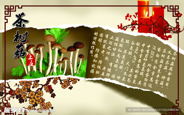 中国风 茶树菇