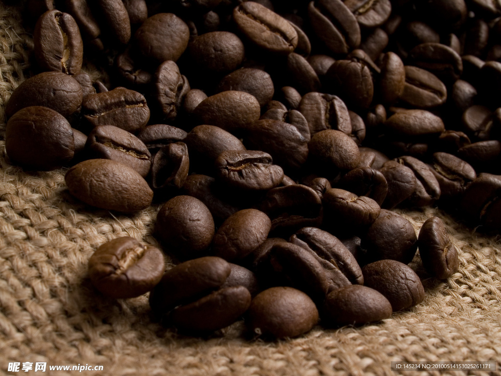 20张咖啡豆高清晰
