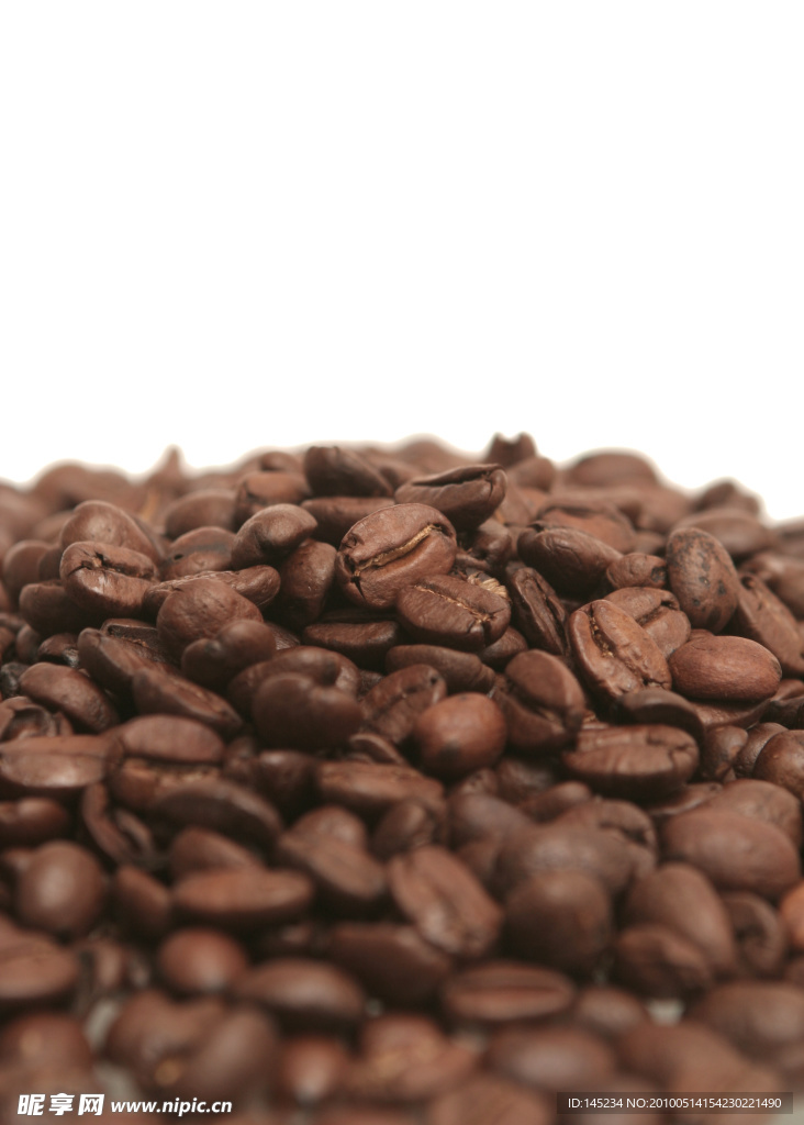 20张咖啡豆高清晰