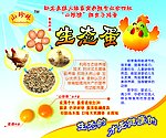 生态蛋