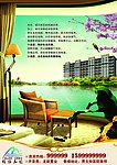 房地产DM广告