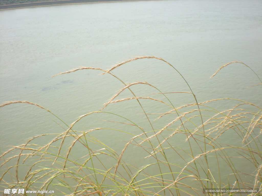 湘江水